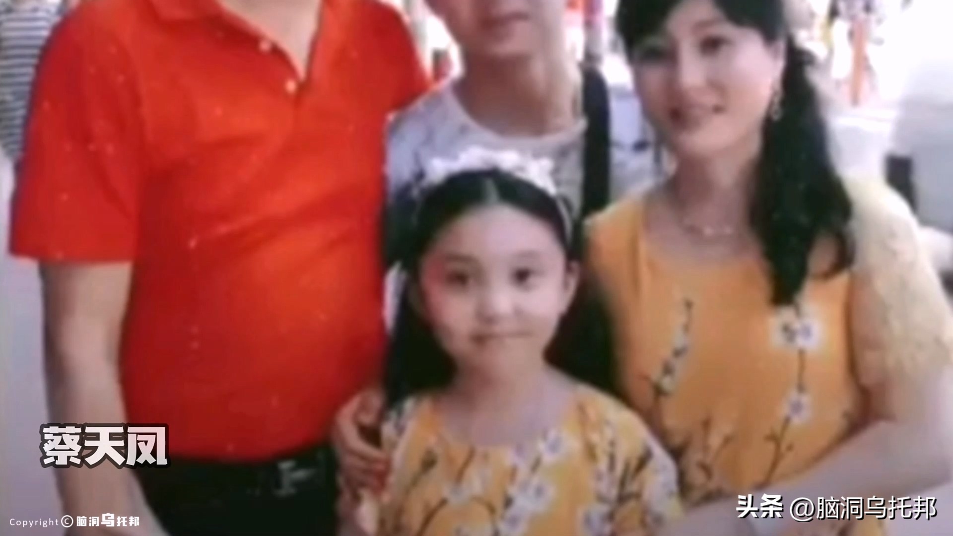 名媛碎尸案最新案情,名媛蔡天凤碎尸案细节视频