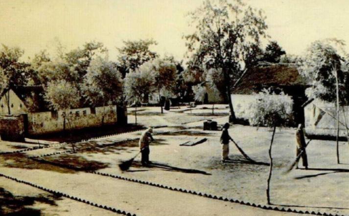 “蛊”究竟是什么？1958年我国蛊病泛滥成灾，毛主席亲自部署