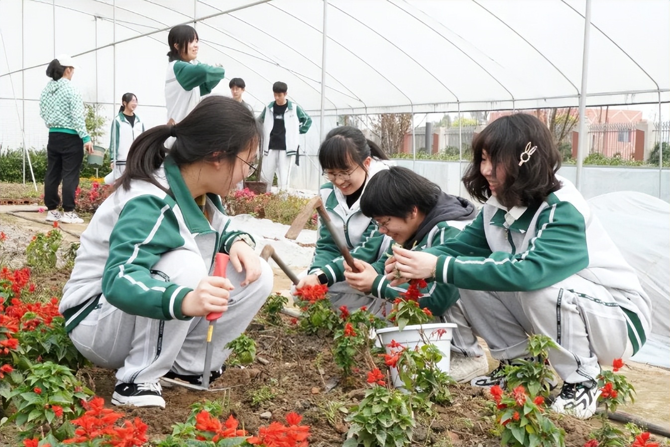 以一日之力，应朝阳之功——记乐山东辰高中部的一天