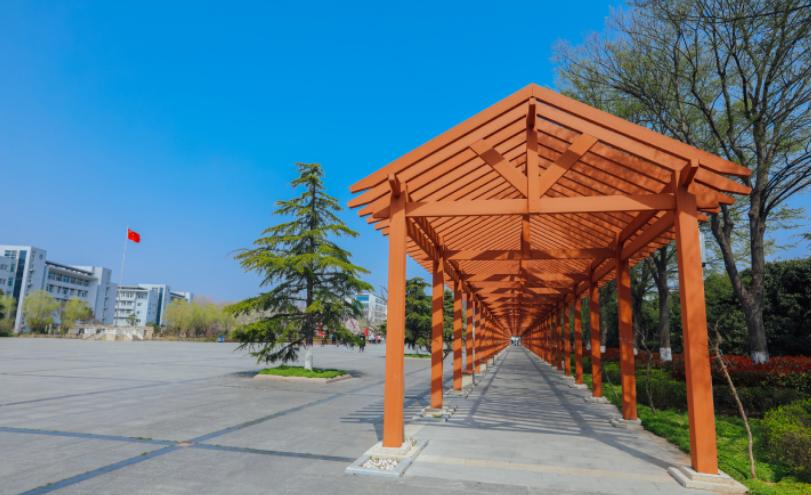 哪几所专科院校毕业不愁就业,专科毕业就业率高的学校