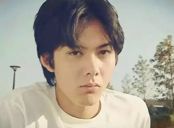 柏原崇为什么在日本没有红起来,日本美少年柏原崇现状