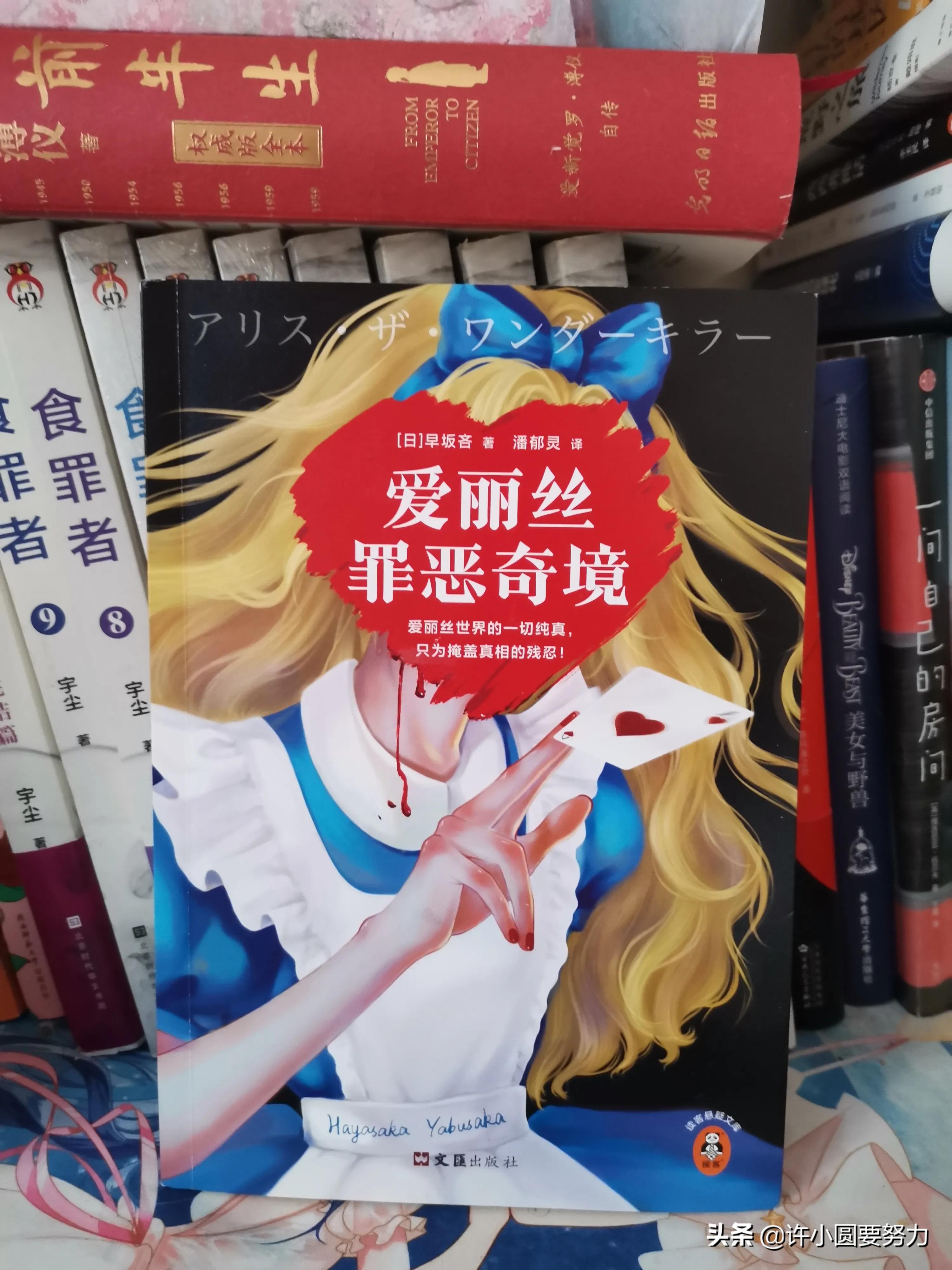 不要被封面劝退，爱丽丝的推理之旅