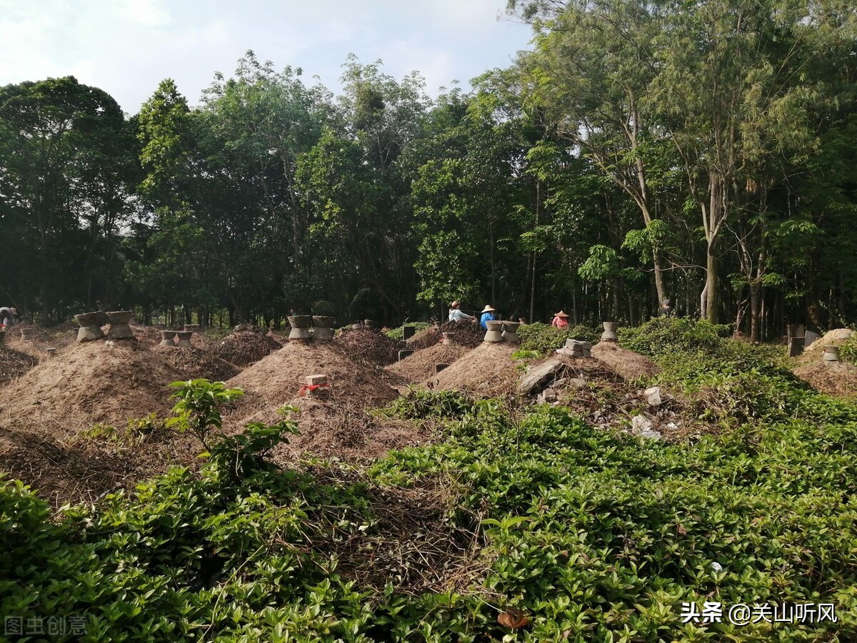 坟塌后人发是什么意思,坟塌有什么说法吗