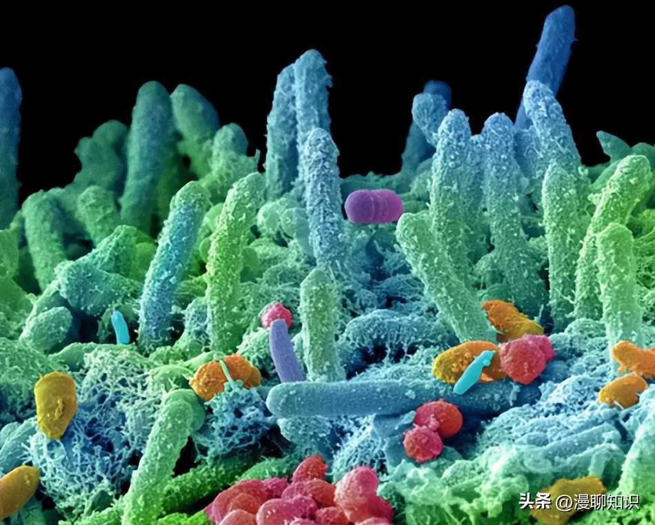 妇阴康洗剂效果怎么样,妇阴康洗剂是抗生素药吗