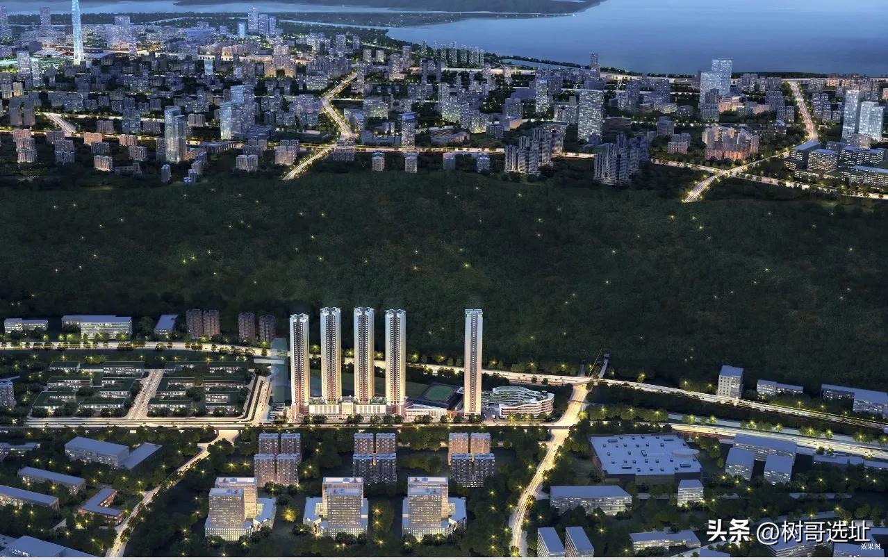 西丽深铁阅山山境,西丽深铁阅山境花园