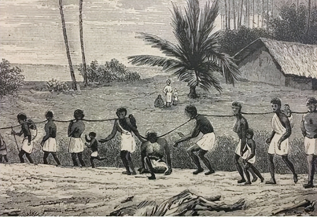 18世纪奴隶贸易最严重的原因,奴隶贸易的原因和影响