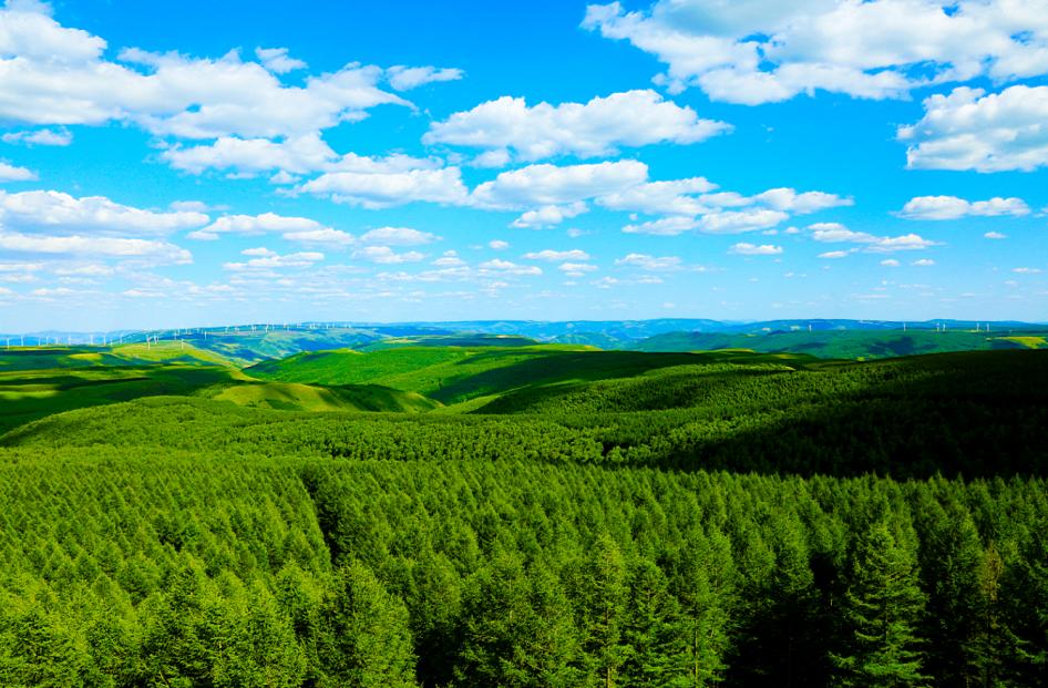 河北8条精品旅游线路,藏不住了这些宝藏打卡地你去过吗