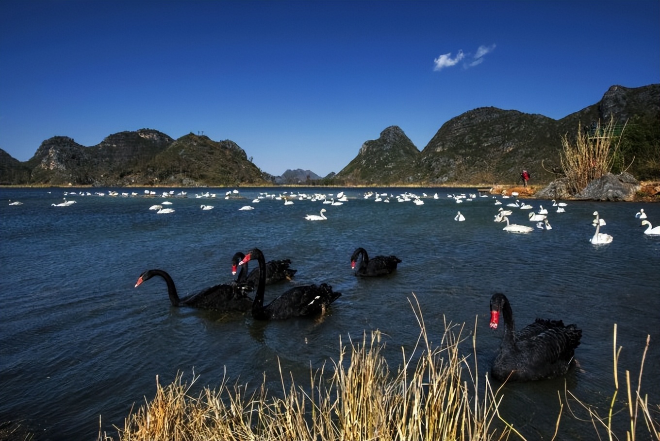 普者黑省旅游景点全攻略,普者黑风景区一天游玩攻略