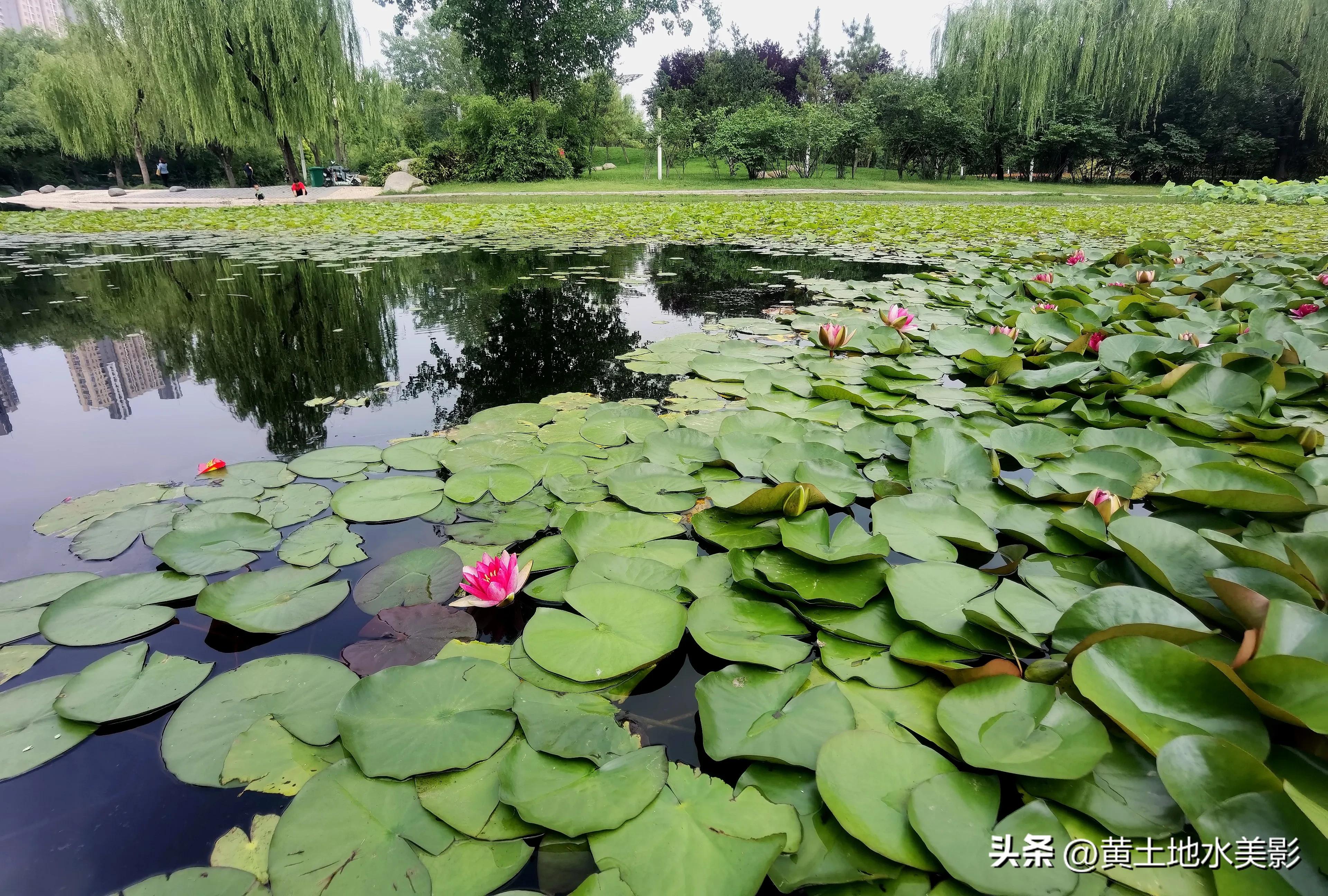郑州儿童节周边游,郑州室外适宜小朋友游玩的景点