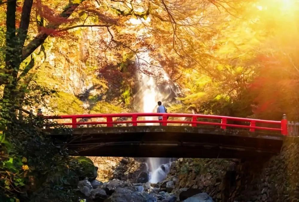 日本大阪十大值得去的地方,日本大阪旅游必去十大景点