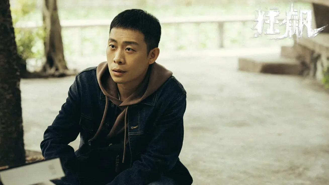 张译与张鲁一的欢颜哪个台播,20部最好谍战剧张译