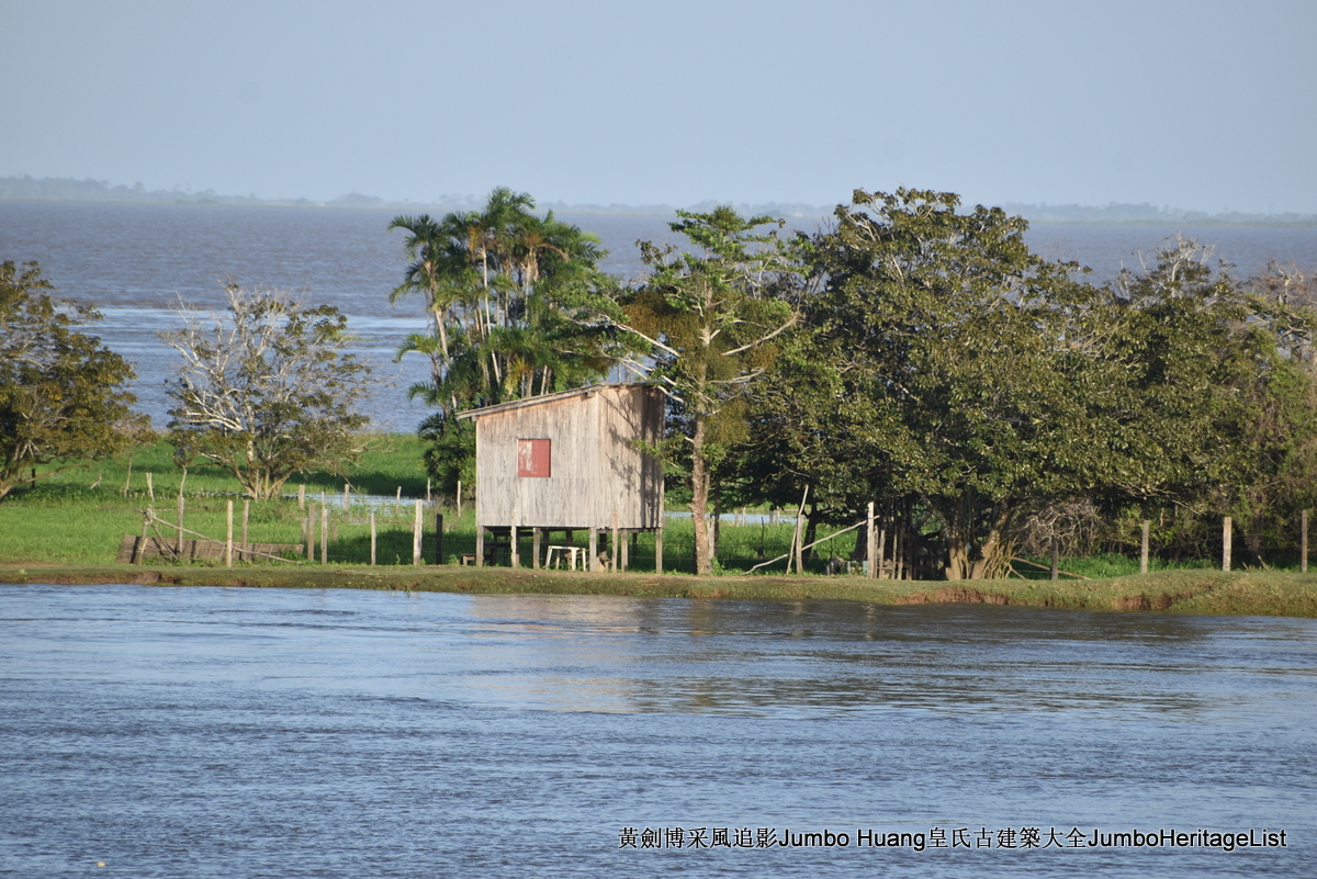 第5047回：消失的亚马逊文明，流失的林下聚居地