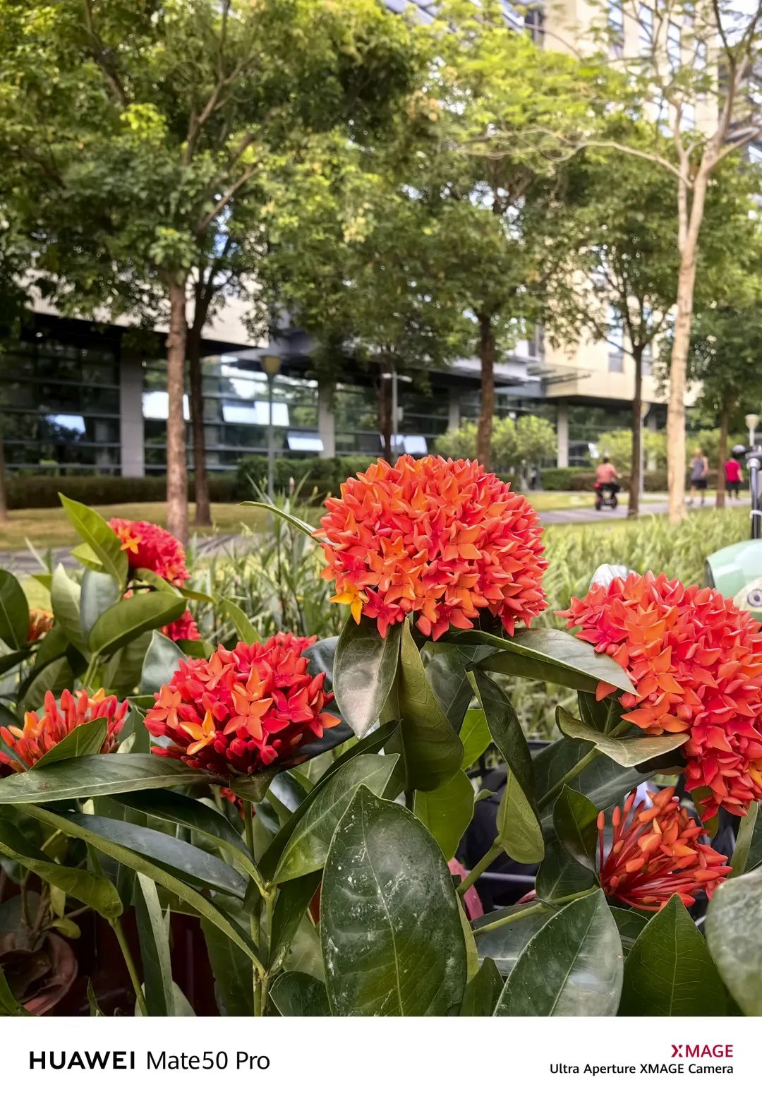 华为mate50pro深度体验感受,华为mate50pro评测超详细版