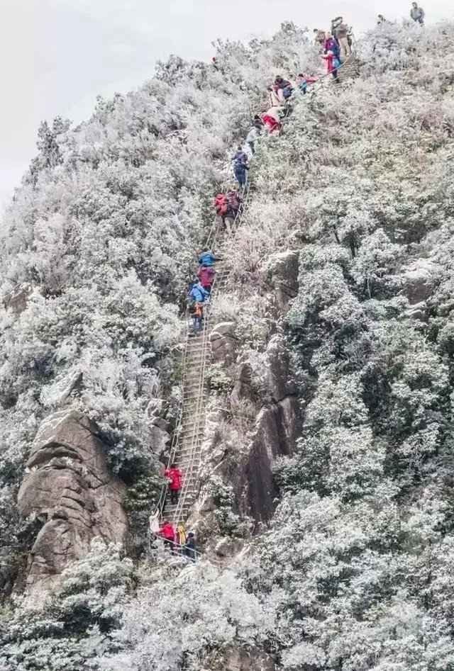 2021连州金子山雾凇观赏时间,广州金子山雾凇