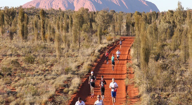 野兔为什么能在澳大利亚泛滥成灾,澳洲野兔泛滥成灾数量超100亿只