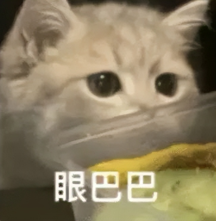 郑州九区遛娃游玩排行榜前十名,郑州遛娃打卡地点推荐