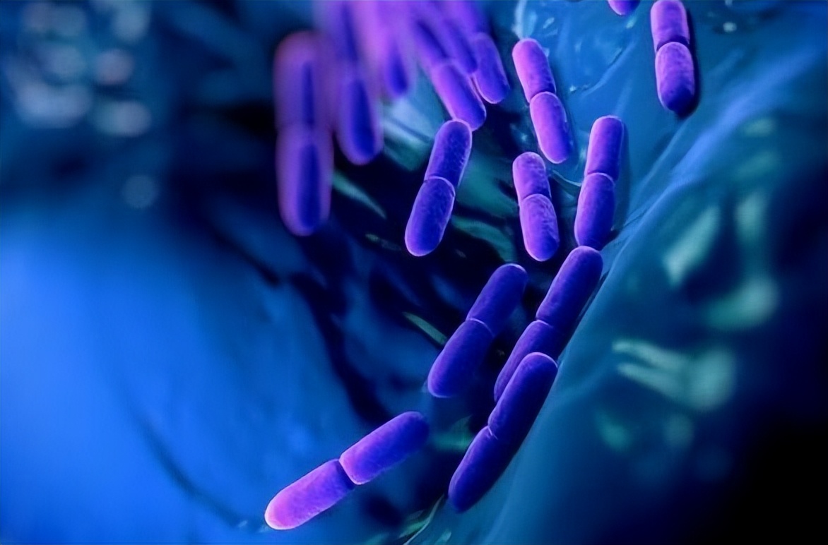 调理脾胃冠心病方子,调理脾胃竟治好了冠心病