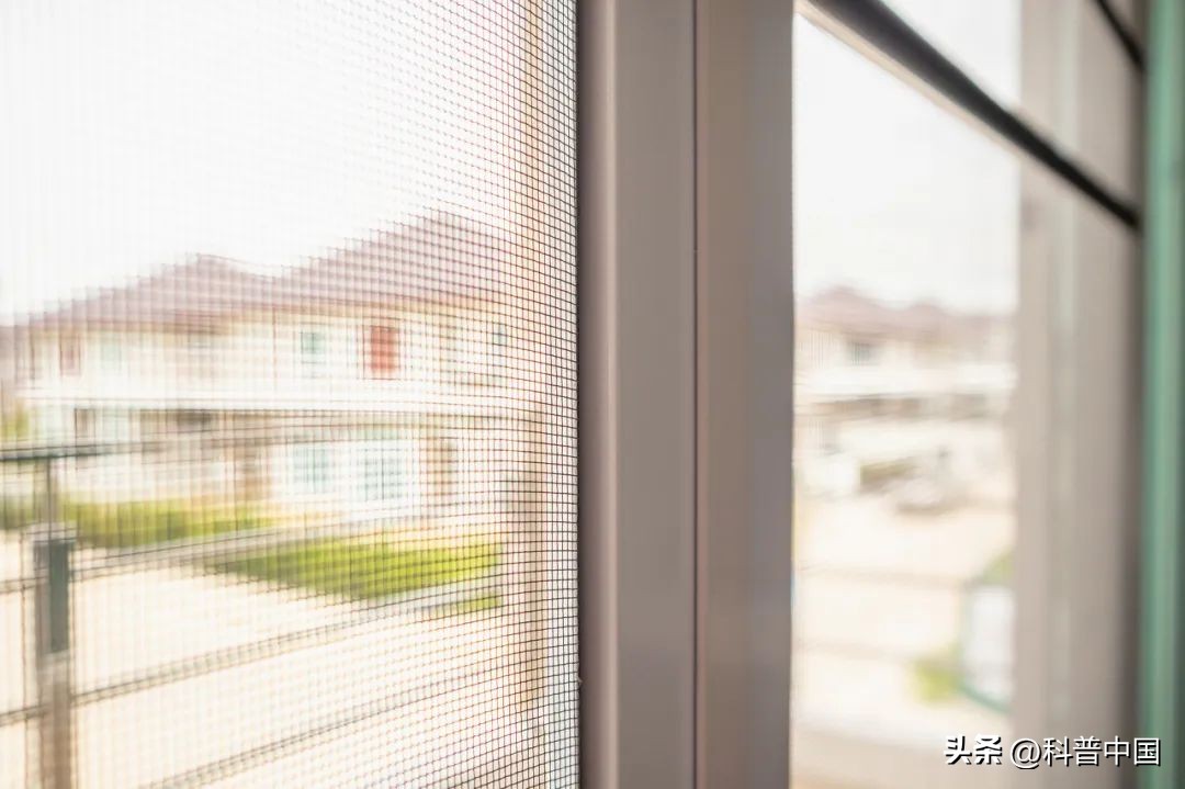 能催眠蚊子的音乐,音乐真的能催眠蚊子吗