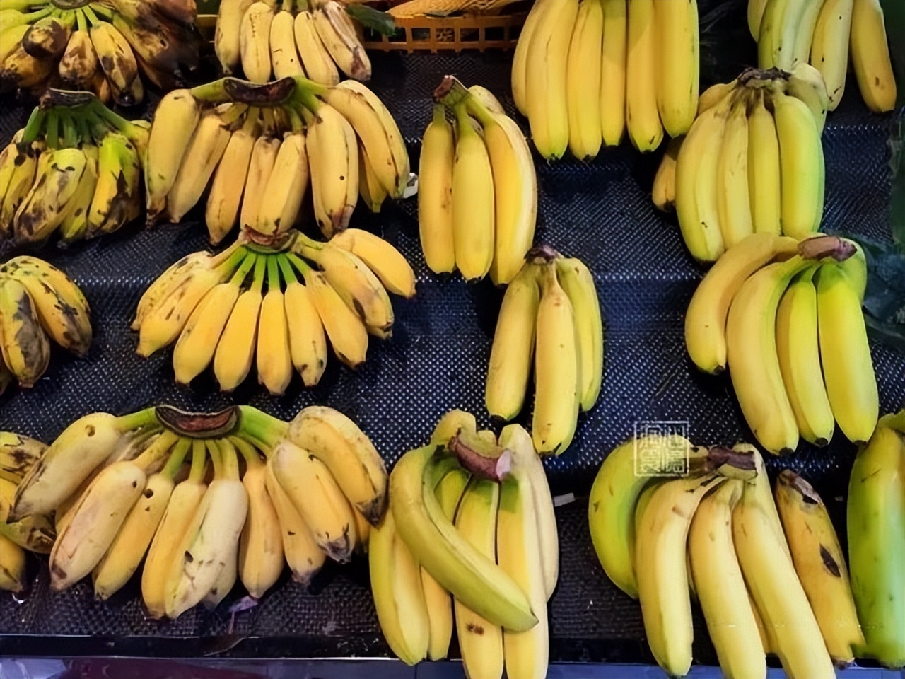 为讨好美国，危地马拉坚决反对中国重返联合国，如今却付出代价