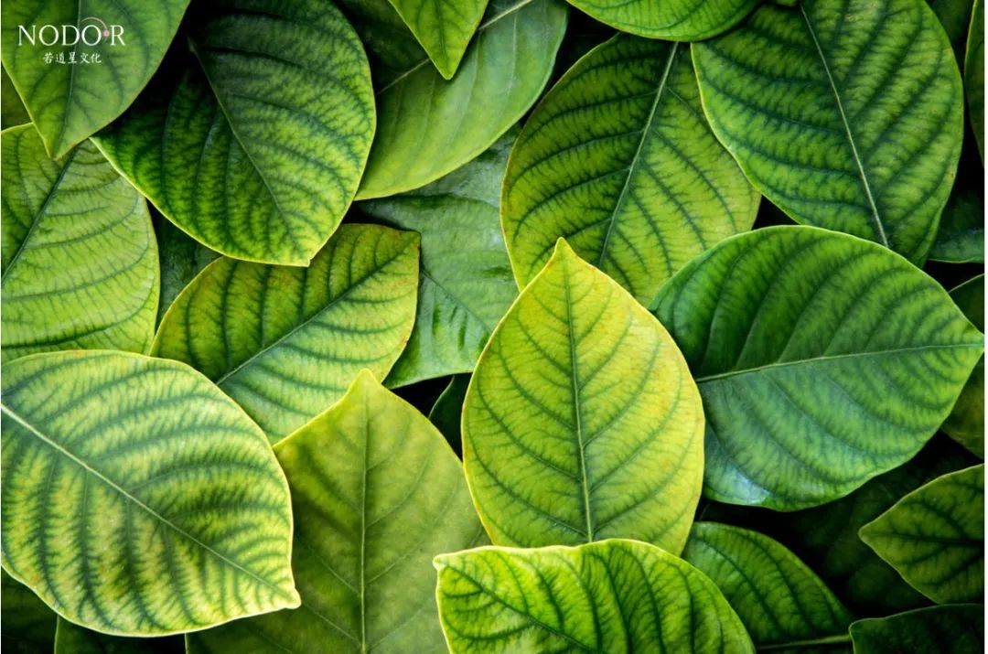 处女座专属男明星是谁,处女座专属明星男生