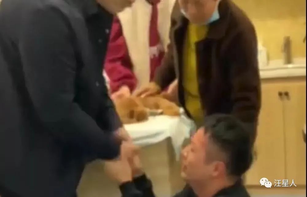 狗狗被撞受伤白发老人跪地痛哭,不小心摔倒了狗狗委屈