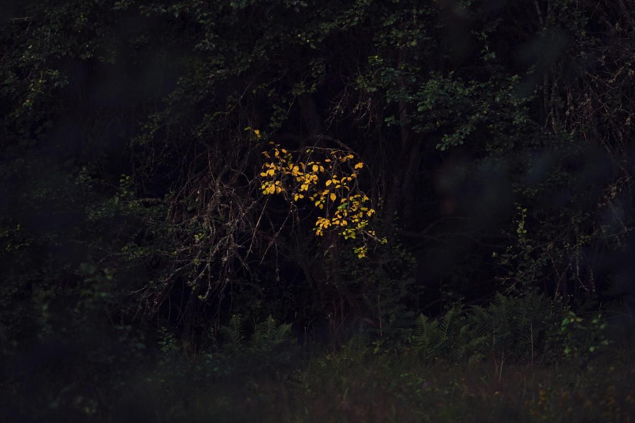 十首古诗词带你领略春夏秋冬,收藏50首夏日古诗词带你清凉一夏