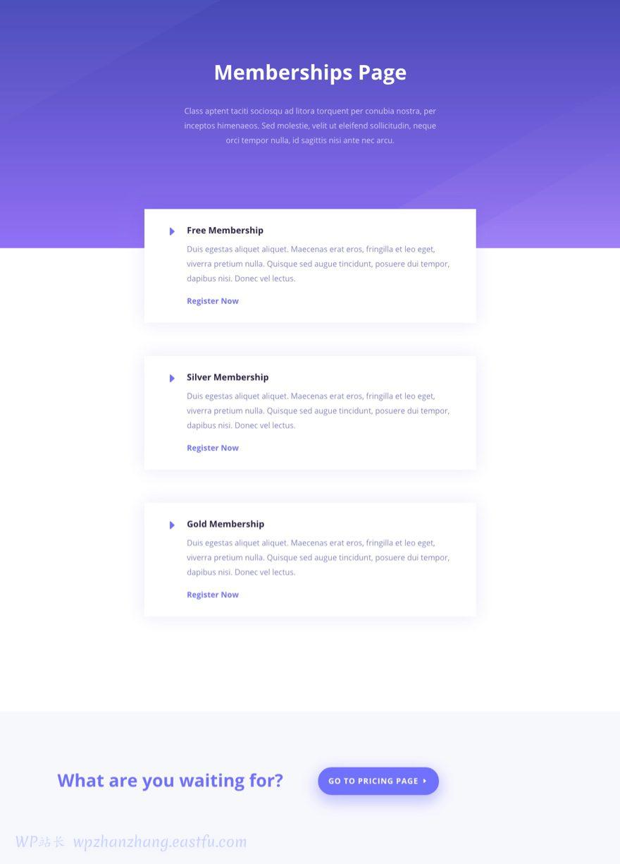 divi建站,divi中文教程