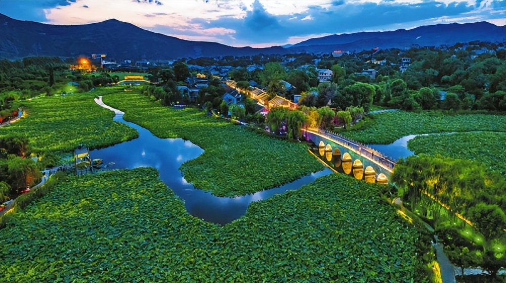 项目为王效益优先,项目为王安阳