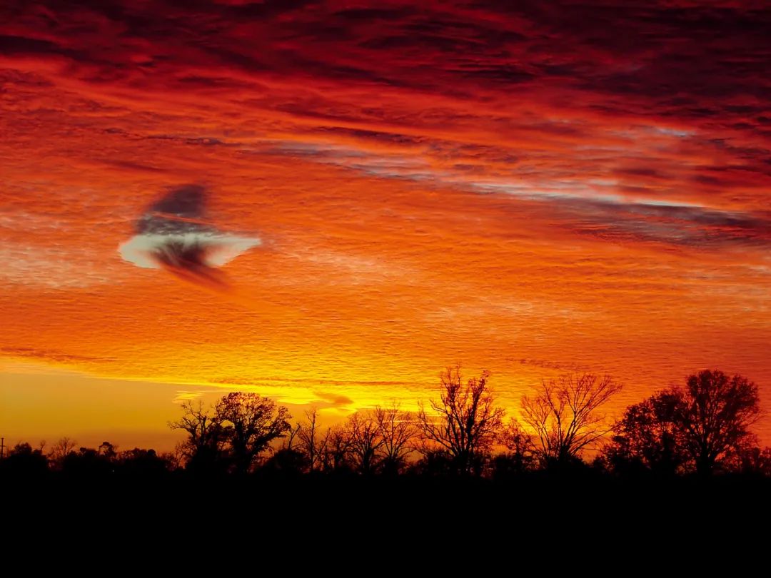 赏云协会官网中文版,赏云协会图片
