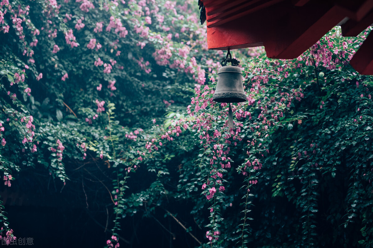 美育作文素材议论文,人生价值与美育作文