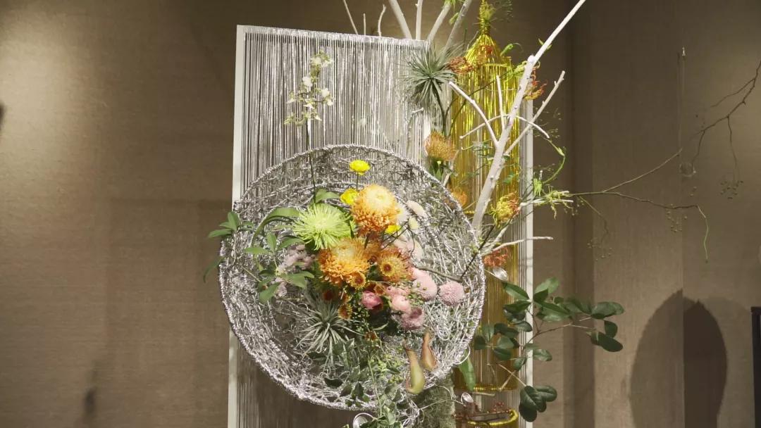 66万盆菊花东湖公园菊花展,东湖公园菊花展有哪些菊花