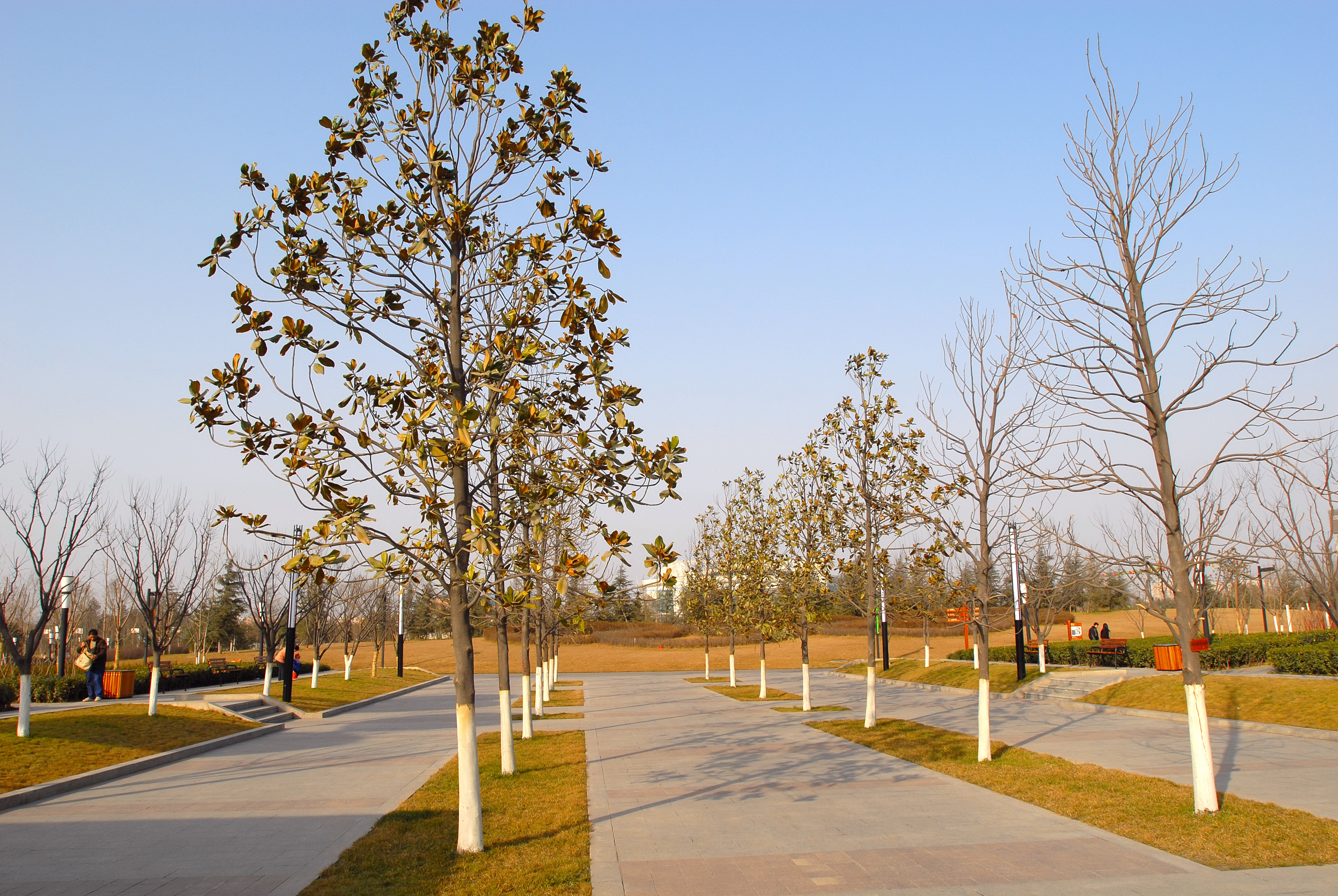 2007年的西安城市运动公园