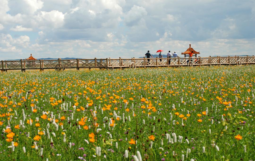 来打卡！锡林郭勒十大网红打卡地