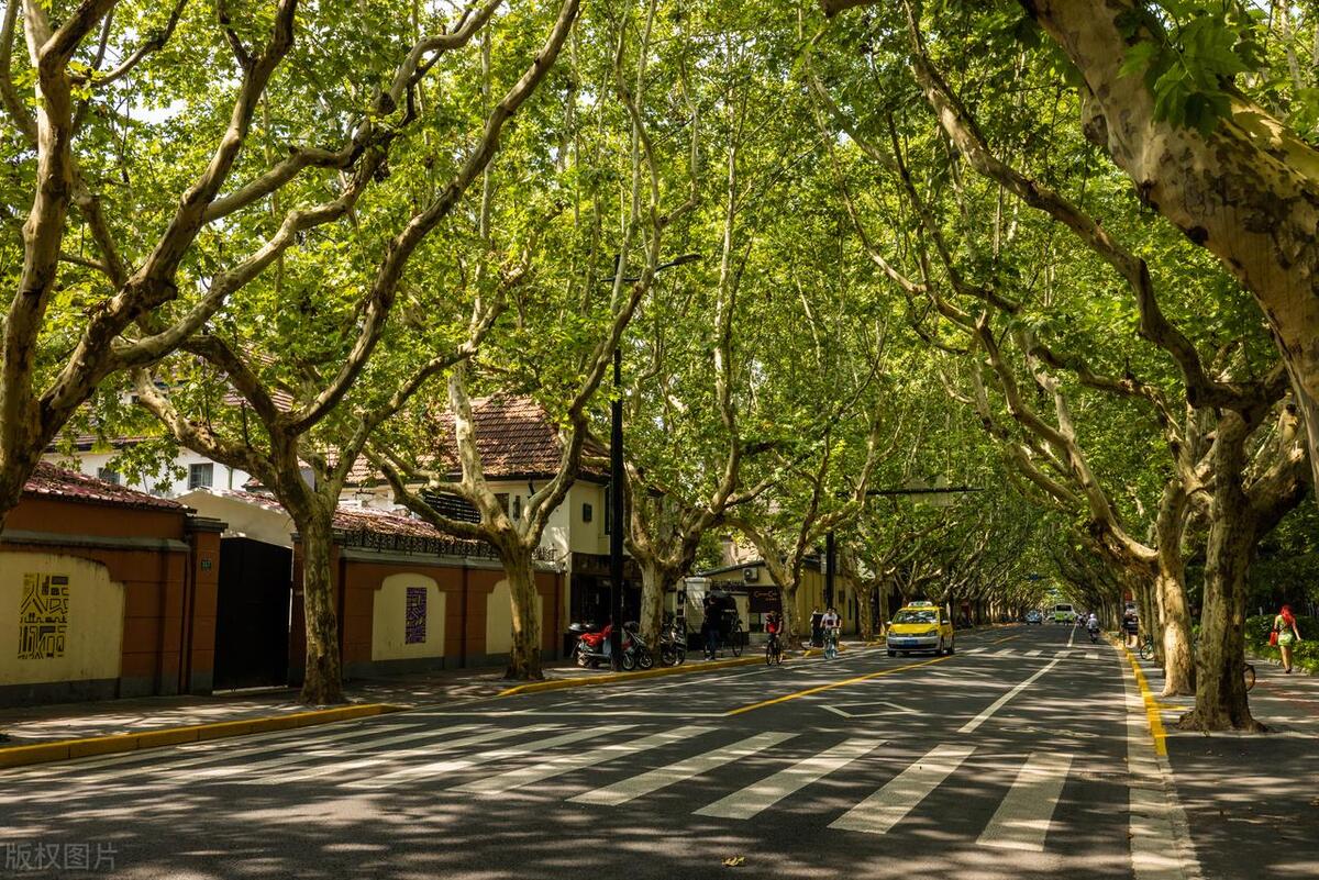 上海2日旅游攻略必去景点,上海2日旅游攻略美食