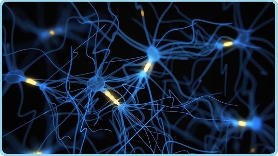 神经网络图像识别,深度神经网络图像识别技术