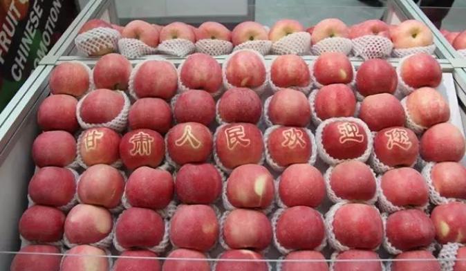 甘肃省各市颜值排名,甘肃省各市照片