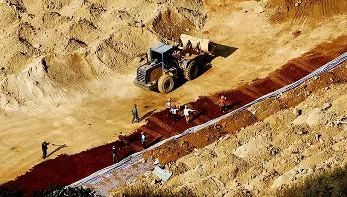 每年从美国进口多少粮食,中国每年从美国大量进口什么