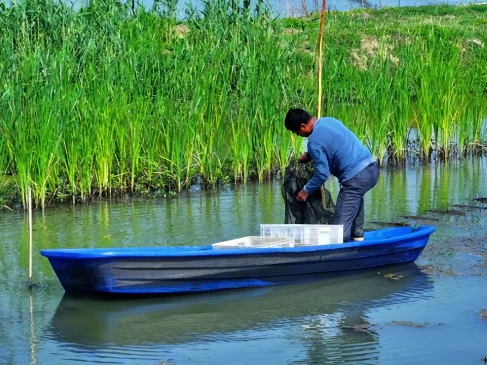 谁才是小龙虾之都,谁才是小龙虾之乡