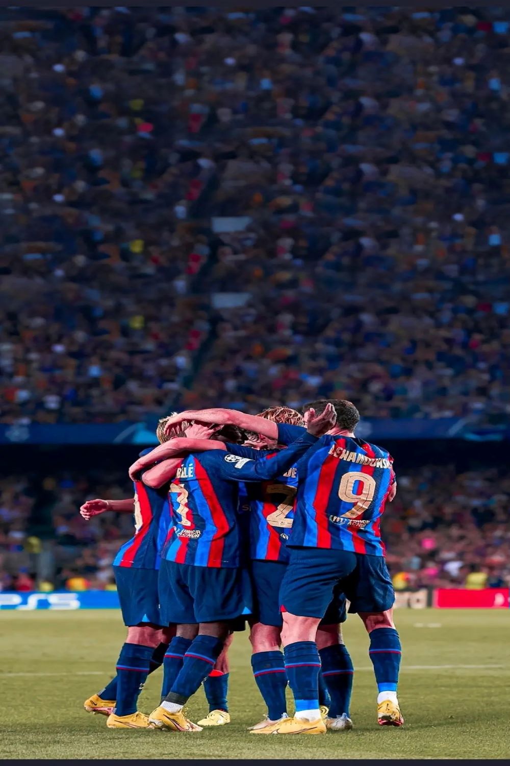 足球小知识篇,足球小知识讲解视频