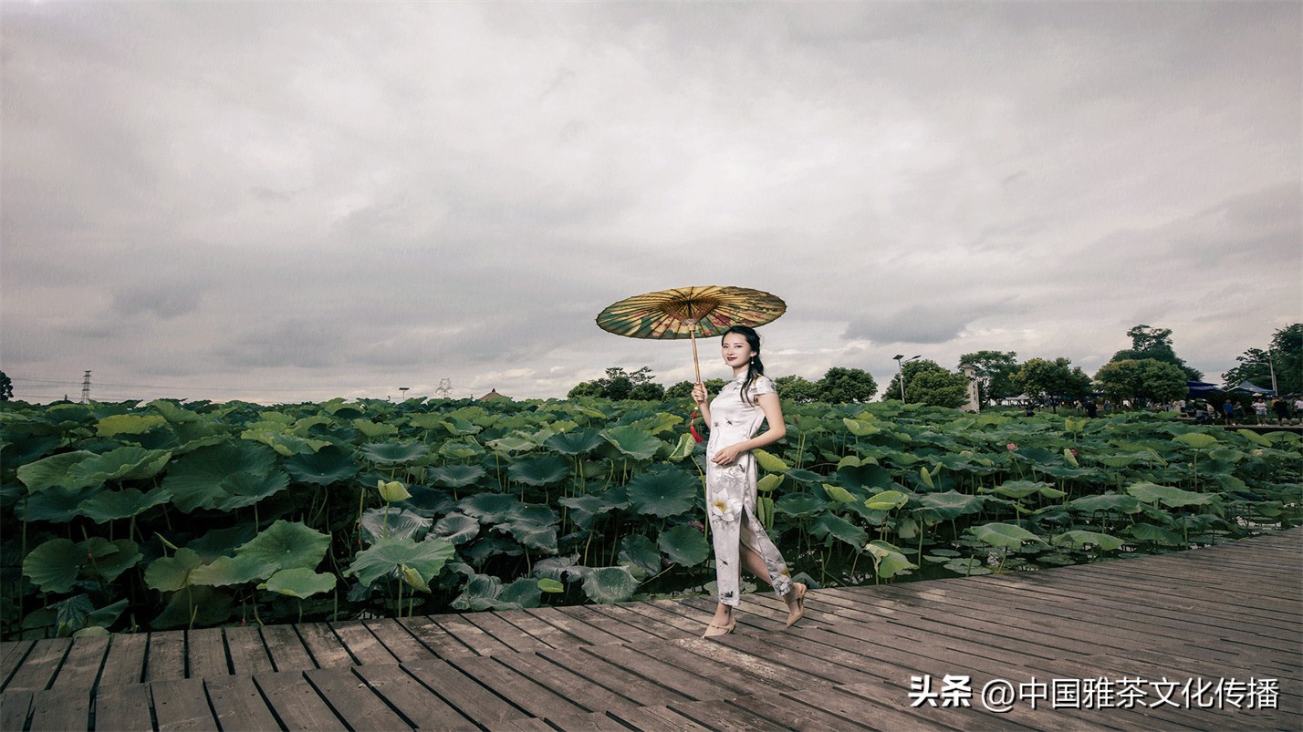 往事越千年人生弹指间意思解释,往事越千年人生弹指间的含义