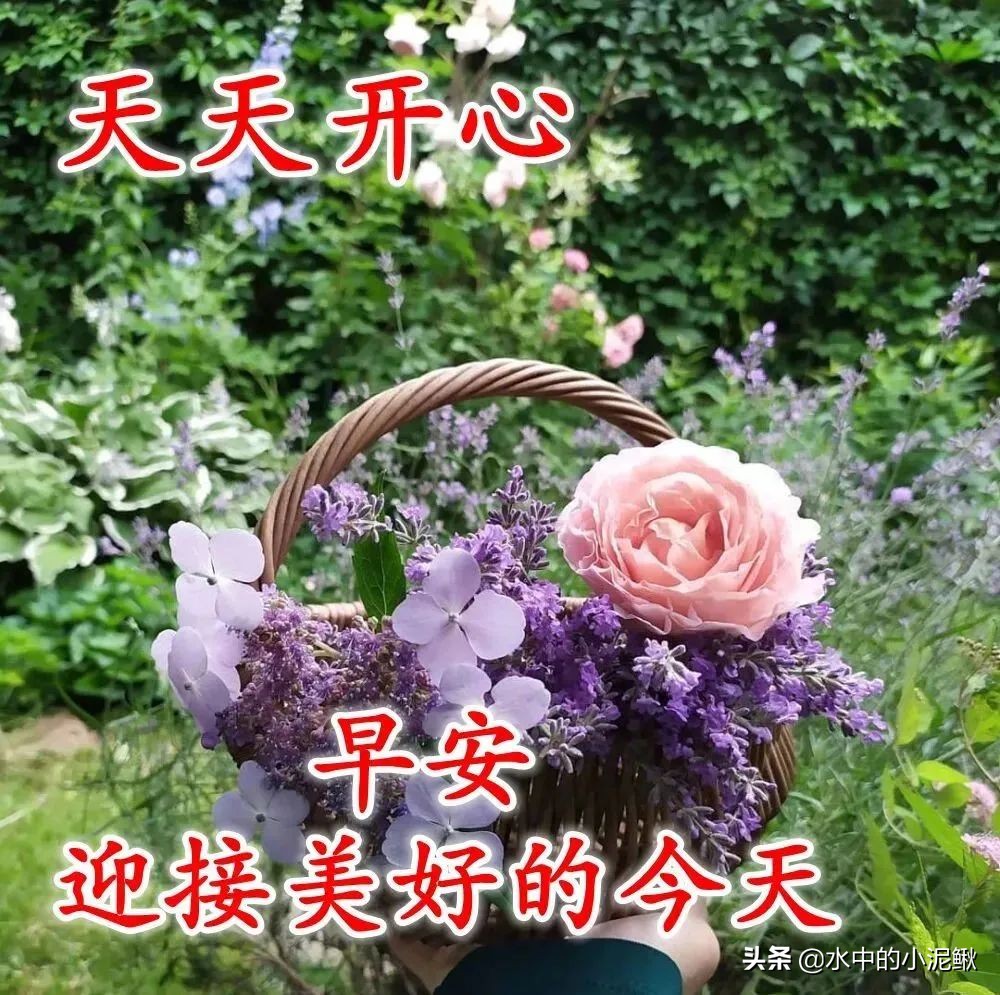 早安励志语录简短的句子有哪些,早安语录励志句子短句有哪些