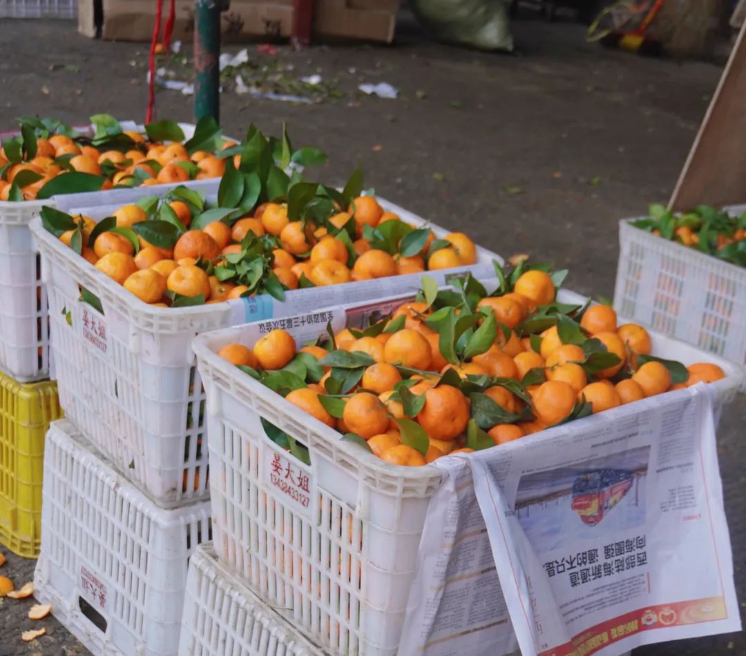 内江打假网红店,打假网红店贵阳