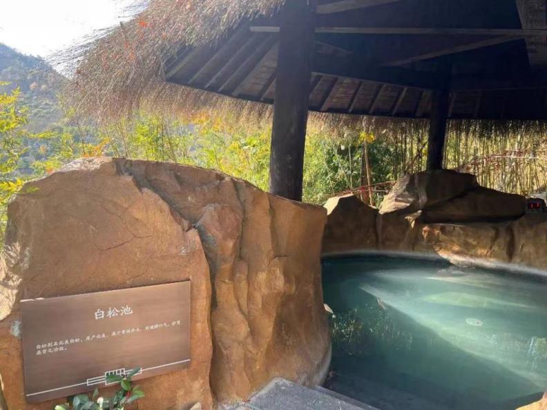 杭州临安湍口温泉星泉谷度假村,临安湍口众安氡温泉度假酒店套餐