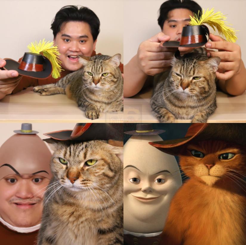 哈哈哈这些猫咪cospaly好怪，再看一眼，还是好怪