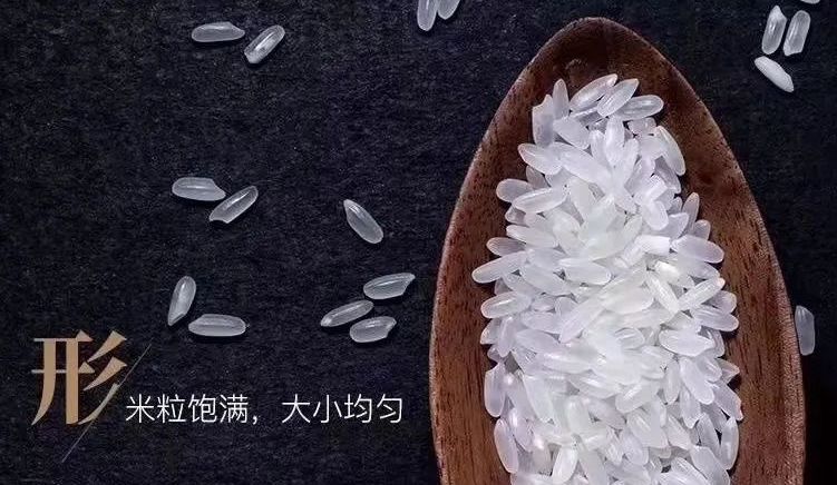 五常大米是糯性还是粘性,五常大米是粳米好吃吗