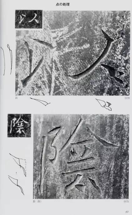 宸ョ瑪鐢绘潹鏅箟鐢诲唽,鏉滈箖鏉ㄦ櫘涔夊畬鏁寸増