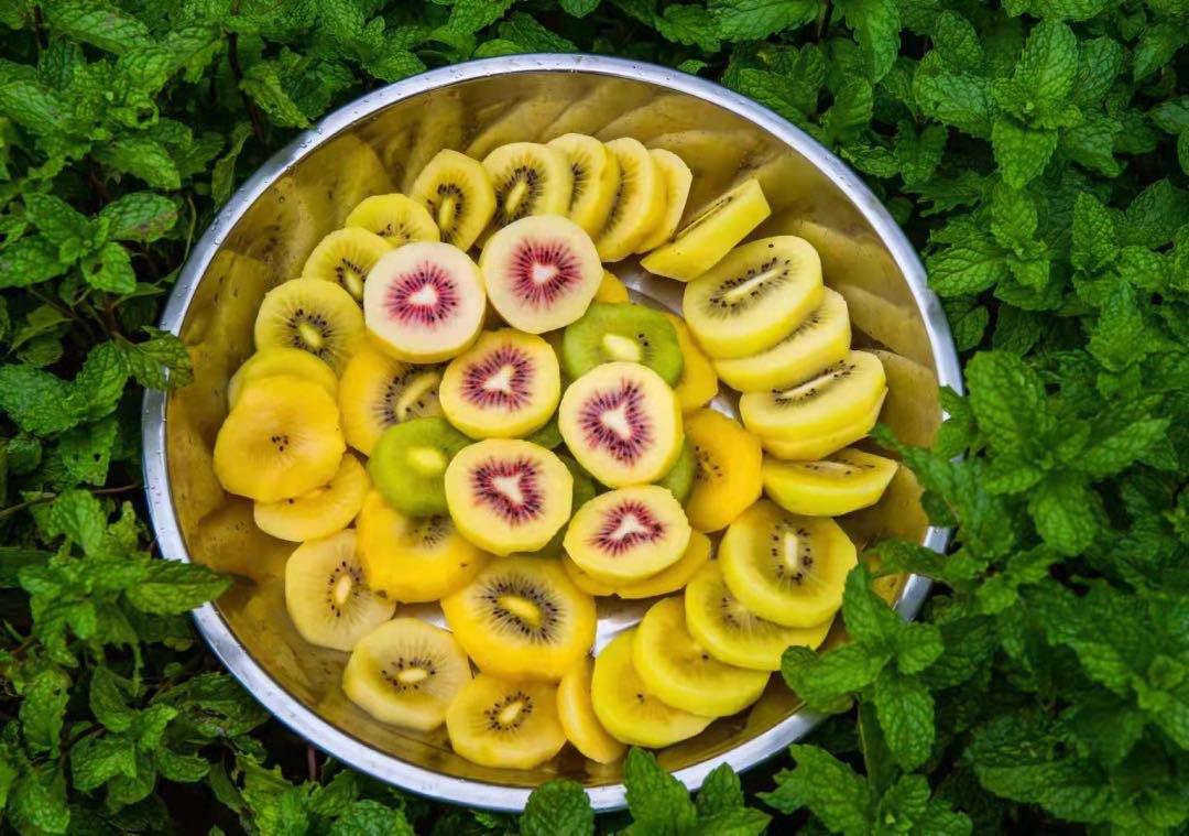 西昌旅游吃住攻略大全最新,11月西昌旅游必备物品