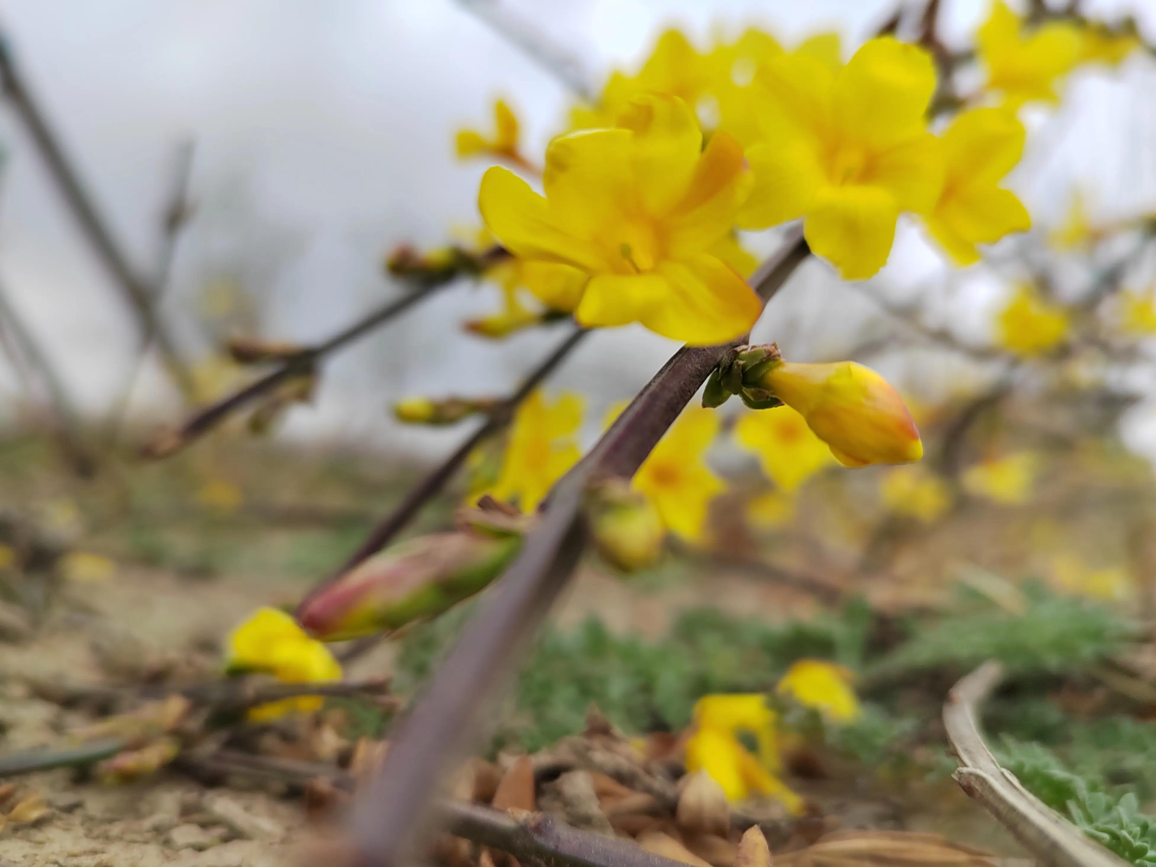 游东湖公园400字,游北山公园感悟