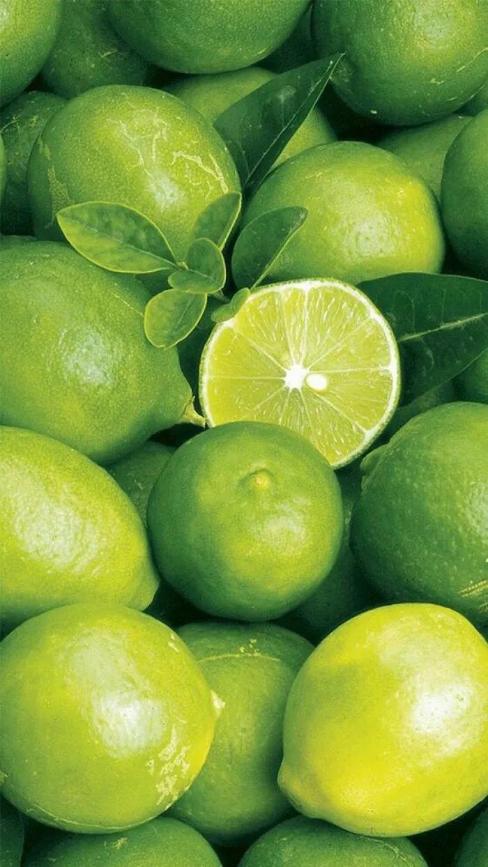 姘翠腑鏌犳澹佺焊,鏌犳澹佺焊澶村儚