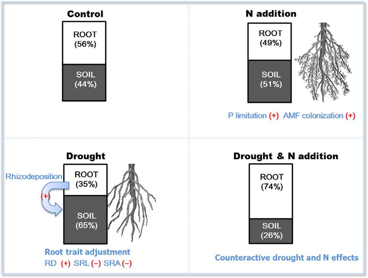 文献分享意义,文献分享的意义